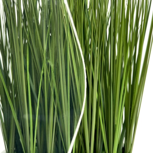 Acrylglas Wellplatte | 177/51 Profil 5 | 3,00 mm | Klar | 2,00 m #3