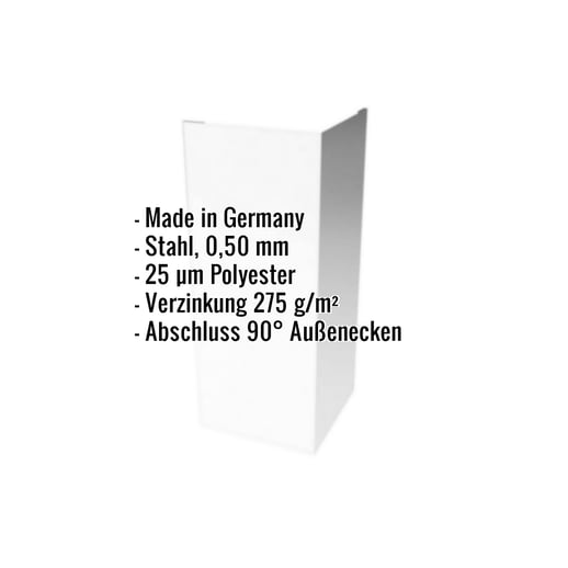 Außenecke | 10 cm x 10 cm x 2,00 m | Stahl 0,50 mm | 25 µm Polyester | 7035 - Lichtgrau #2