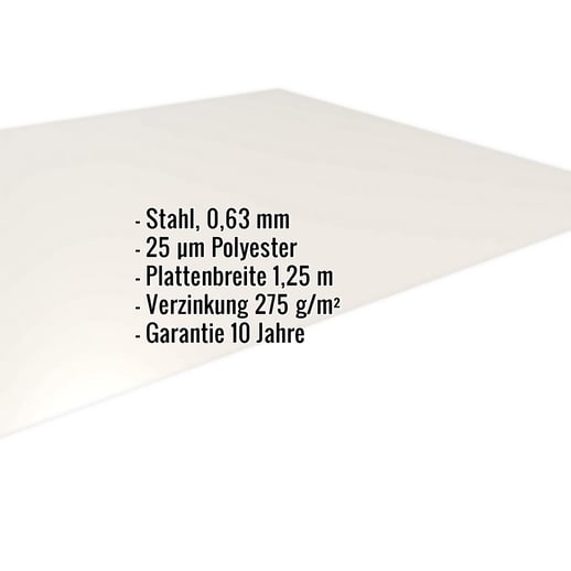 Flachblech | Stahl 0,63 mm | 25 µm Polyester | 9010 - Reinweiß #2