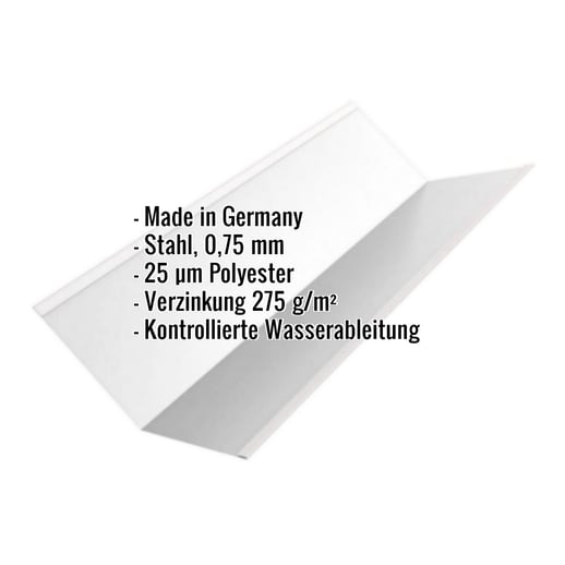 Kehlblech | 19,5 cm x 19,5 cm x 2,00 m | Stahl 0,75 mm | 25 µm Polyester | 7035 - Lichtgrau #2