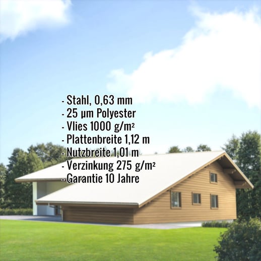 Pfannenblech EUROPA | Anti-Tropf 1000 g/m² | Stahl 0,63 mm | 25 µm Polyester | 9010 - Reinweiß #2