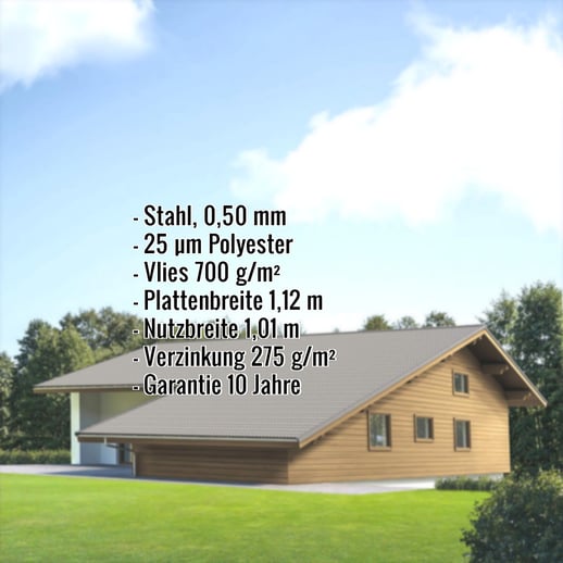 Pfannenblech EUROPA | Anti-Tropf 700 g/m² | Stahl 0,50 mm | 25 µm Polyester | 9007 - Graualuminium #2