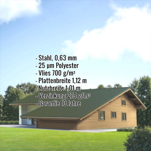 Pfannenblech EUROPA | Anti-Tropf 700 g/m² | Stahl 0,63 mm | 25 µm Polyester | 6020 - Chromoxidgrün #2