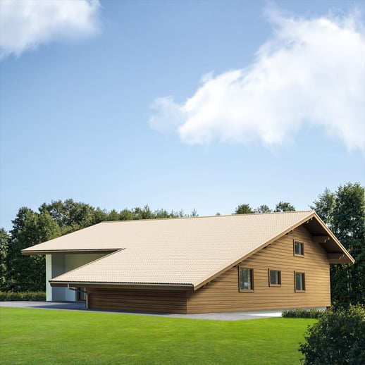 Pfannenblech EUROPA | Stahl 0,50 mm | 25 µm Polyester | 1015 - Hellelfenbein #1