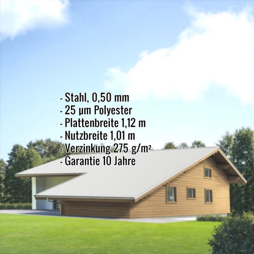 Pfannenblech EUROPA | Stahl 0,50 mm | 25 µm Polyester | 7035 - Lichtgrau #2