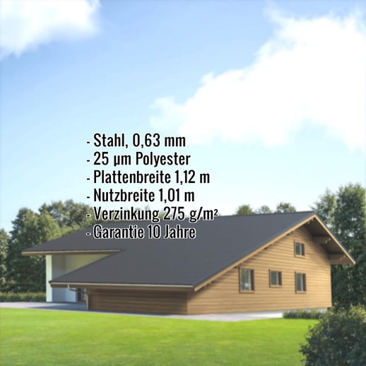 Pfannenblech EUROPA | Stahl 0,63 mm | 25 µm Polyester | 7016 - Anthrazitgrau #2