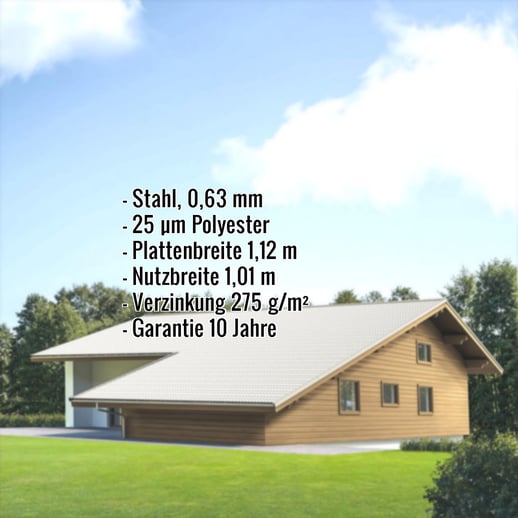 Pfannenblech EUROPA | Stahl 0,63 mm | 25 µm Polyester | 9002 - Grauweiß #2