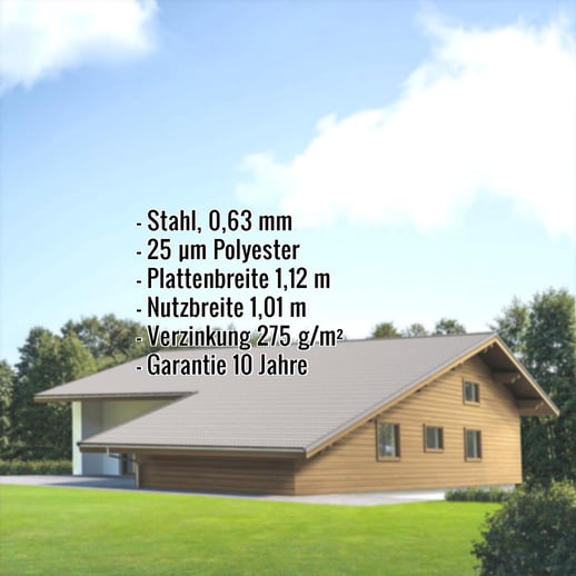 Pfannenblech EUROPA | Stahl 0,63 mm | 25 µm Polyester | 9006 - Weißaluminium #2