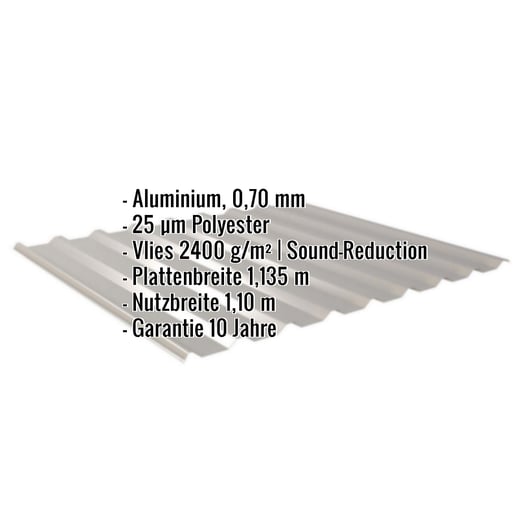 Trapezblech 20/1100 | Dach | Anti-Tropf 2400 g/m² | Aluminium 0,70 mm | 25 µm Polyester | 9007 - Graualuminium #2