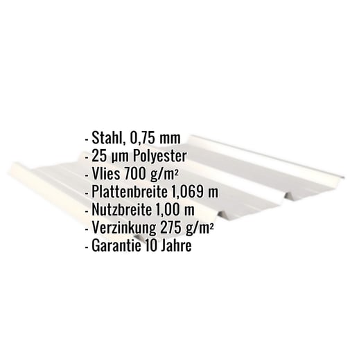 Trapezblech 45/333 | Dach | Anti-Tropf 700 g/m² | Stahl 0,75 mm | 25 µm Polyester | 9002 - Grauweiß #2