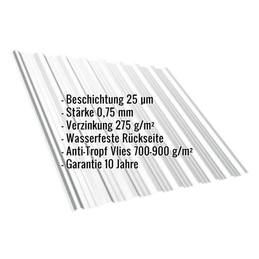 Trapezblech T18DR | Dach | Anti-Tropf 700 g/m² | Stahl 0,75 mm | 25 µm Polyester | 7035 - Lichtgrau #2