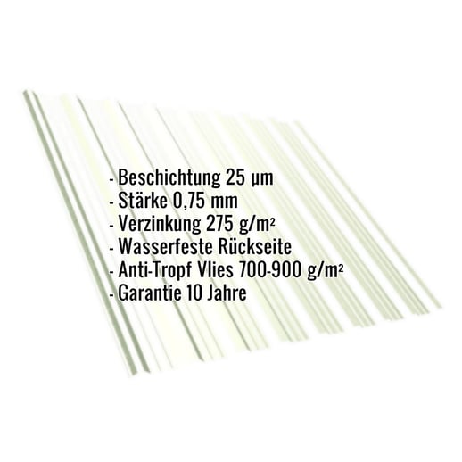 Trapezblech T18DR | Dach | Anti-Tropf 700 g/m² | Stahl 0,75 mm | 25 µm Polyester | 9002 - Grauweiß #2