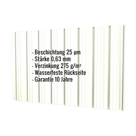 Trapezblech T18DR | Wand | Stahl 0,63 mm | 25 µm Polyester | 9002 - Grauweiß #2