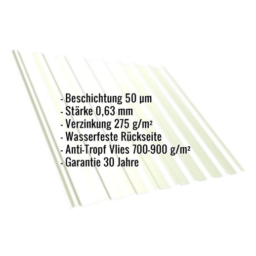 Trapezblech T20M | Dach | Anti-Tropf 700 g/m² | Stahl 0,63 mm | 50 µm PURLAK® | 9002 - Grauweiß #2