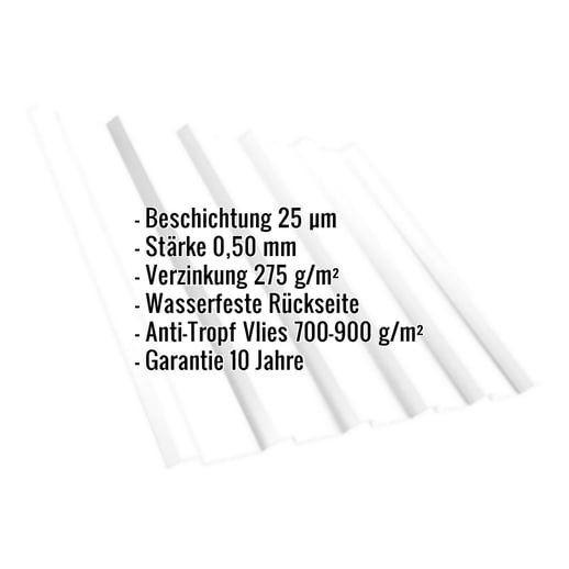 Trapezblech T35/207M | Dach | Anti-Tropf 700 g/m² | Stahl 0,50 mm | 25 µm Polyester | 9010 - Reinweiß #2