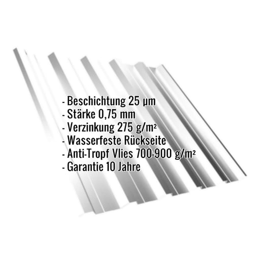 Trapezblech T35DR | Dach | Anti-Tropf 700 g/m² | Stahl 0,75 mm | 25 µm Polyester | 7035 - Lichtgrau #2