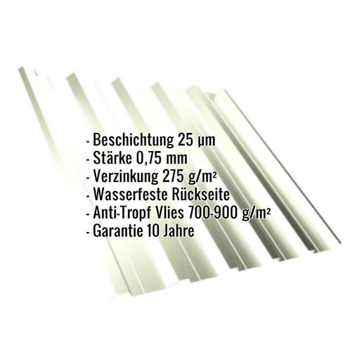 Trapezblech T35DR | Dach | Anti-Tropf 700 g/m² | Stahl 0,75 mm | 25 µm Polyester | 9002 - Grauweiß #2