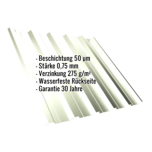 Trapezblech T35DR | Dach | Stahl 0,75 mm | 50 µm PURLAK® | 9002 - Grauweiß #2