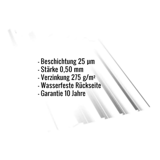 Trapezblech T35DR | Dach | Stahl 0,50 mm | 25 µm Polyester | 9010 - Reinweiß #2