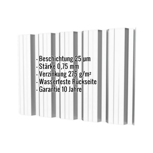 Trapezblech T35DR | Wand | Stahl 0,75 mm | 25 µm Polyester | 7035 - Lichtgrau #2