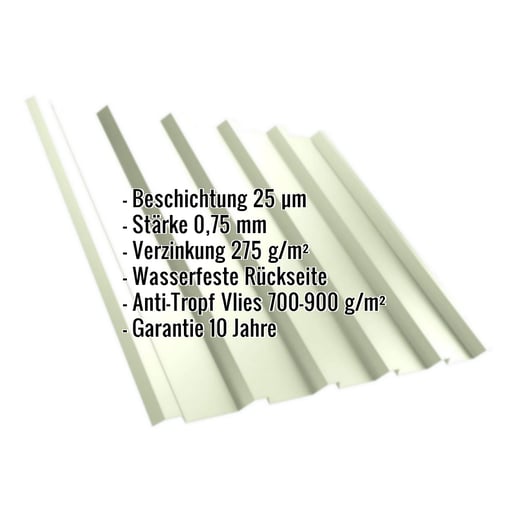 Trapezblech T35M | Dach | Anti-Tropf 700 g/m² | Stahl 0,75 mm | 25 µm Polyester | 9002 - Grauweiß #2