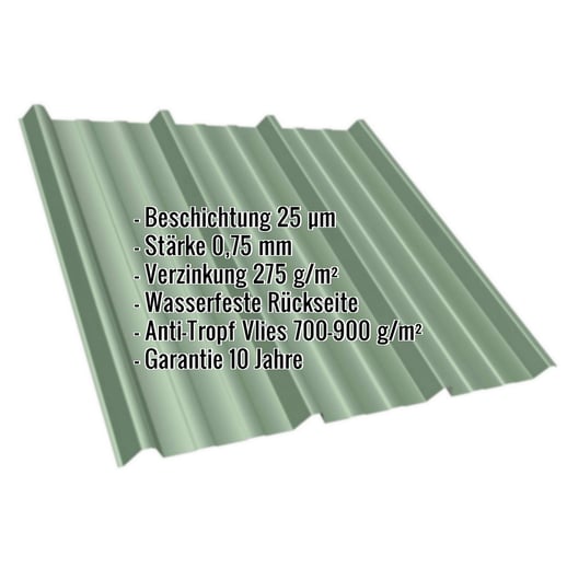 Trapezblech T45/333M | Dach | Anti-Tropf 700 g/m² | Stahl 0,75 mm | 25 µm Polyester | 6011 - Resedagrün #2