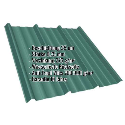 Trapezblech T45/333M | Dach | Anti-Tropf 700 g/m² | Stahl 0,75 mm | 25 µm Polyester | 6005 - Moosgrün #2