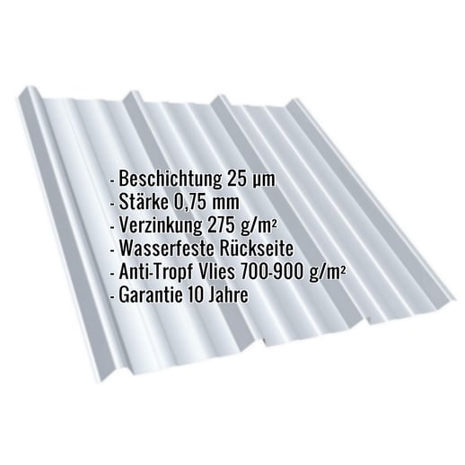 Trapezblech T45/333M | Dach | Anti-Tropf 700 g/m² | Stahl 0,75 mm | 25 µm Polyester | 7035 - Lichtgrau #2