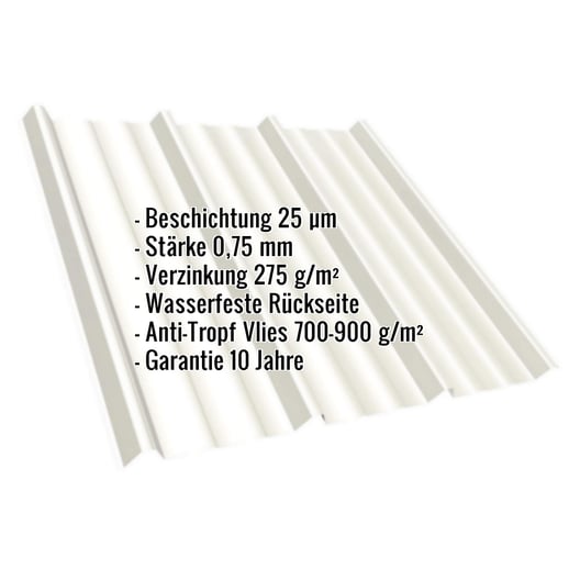Trapezblech T45/333M | Dach | Anti-Tropf 700 g/m² | Stahl 0,75 mm | 25 µm Polyester | 9010 - Reinweiß #2