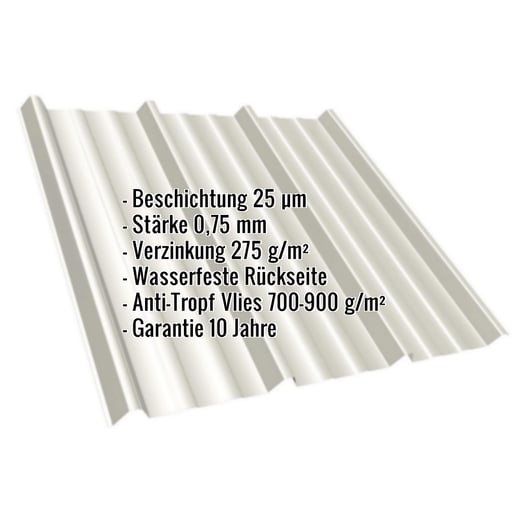 Trapezblech T45/333M | Dach | Anti-Tropf 700 g/m² | Stahl 0,75 mm | 25 µm Polyester | 9002 - Grauweiß #2