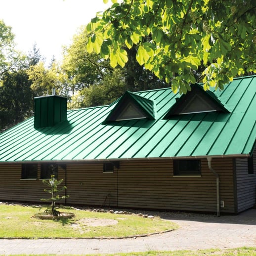 Stehfalzblech 33/500-LE | Dach | Stahl 0,50 mm | 60 µm Puramid | 6005 - Moosgrün #5