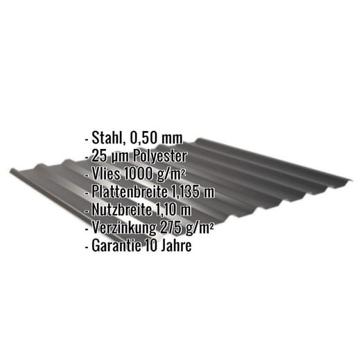 Trapezblech 20/1100 | Dach | Anti-Tropf 1000 g/m² | Stahl 0,50 mm | 25 µm Polyester | 9005 - Tiefschwarz #2
