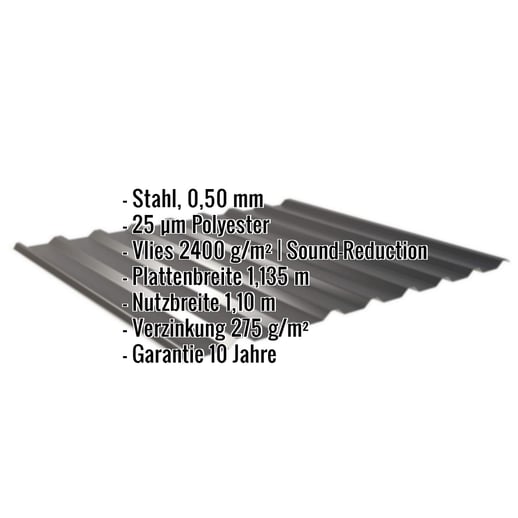 Trapezblech 20/1100 | Dach | Anti-Tropf 2400 g/m² | Stahl 0,50 mm | 25 µm Polyester | 9005 - Tiefschwarz #2