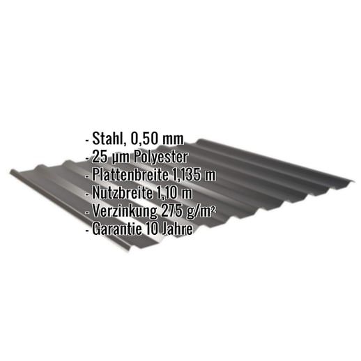 Trapezblech 20/1100 | Dach | Stahl 0,50 mm | 25 µm Polyester | 9005 - Tiefschwarz #2