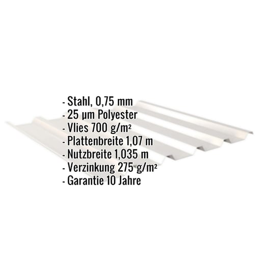 Trapezblech 35/207 | Dach | Anti-Tropf 700 g/m² | Stahl 0,75 mm | 25 µm Polyester | 9002 - Grauweiß #2