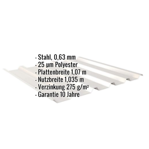 Trapezblech 35/207 | Dach | Stahl 0,63 mm | 25 µm Polyester | 9002 - Grauweiß #2