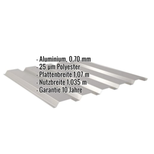 Trapezblech 35/207 | Wand | Aluminium 0,70 mm | 25 µm Polyester | 9007 - Graualuminium #2