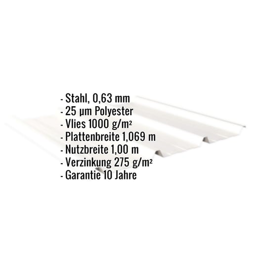Trapezblech 45/333 | Dach | Anti-Tropf 1000 g/m² | Stahl 0,63 mm | 25 µm Polyester | 9010 - Reinweiß #2