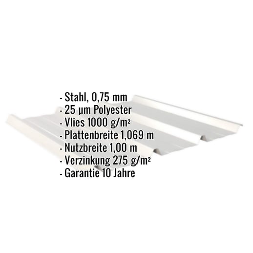 Trapezblech 45/333 | Dach | Anti-Tropf 1000 g/m² | Stahl 0,75 mm | 25 µm Polyester | 9006 - Weißaluminium #2