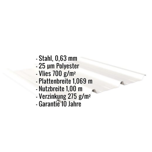 Trapezblech 45/333 | Dach | Anti-Tropf 700 g/m² | Stahl 0,63 mm | 25 µm Polyester | 9010 - Reinweiß #2