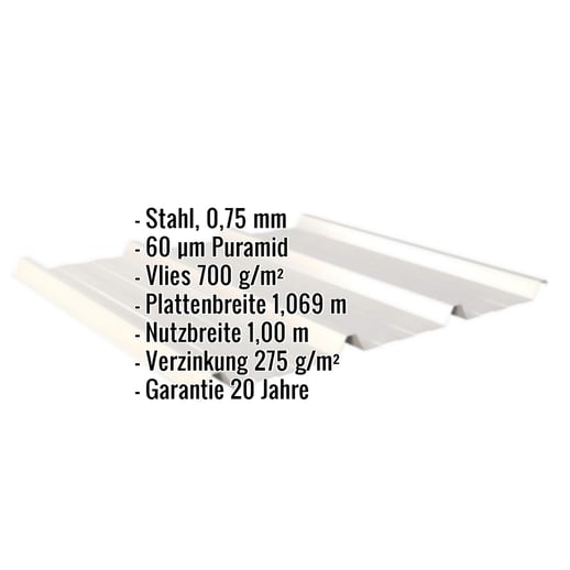 Trapezblech 45/333 | Dach | Anti-Tropf 700 g/m² | Stahl 0,75 mm | 60 µm Puramid | 9002 - Grauweiß #2
