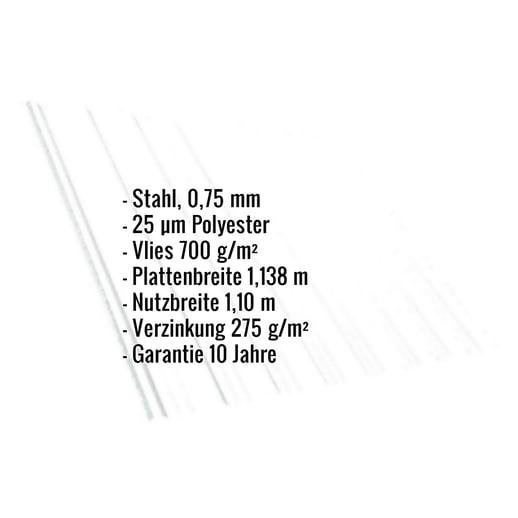Trapezblech T18DR | Dach | Anti-Tropf 700 g/m² | Stahl 0,75 mm | 25 µm Polyester | 9010 - Reinweiß #2