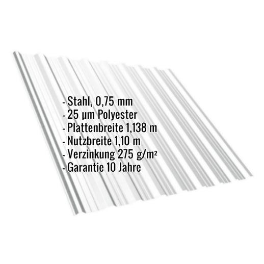Trapezblech T18DR | Dach | Stahl 0,75 mm | 25 µm Polyester | 7035 - Lichtgrau #2
