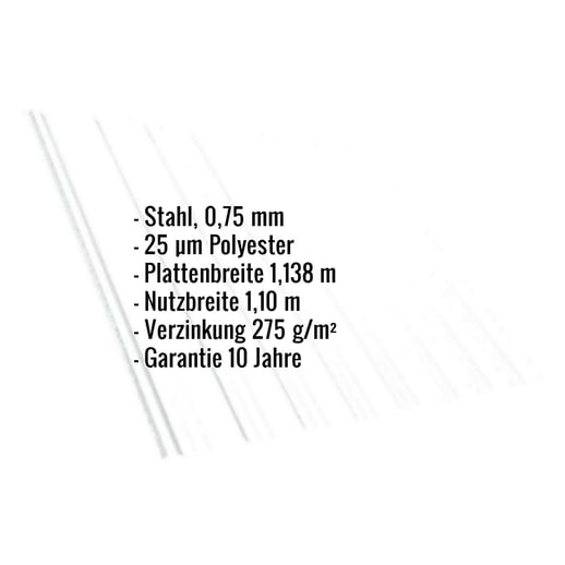 Trapezblech T18DR | Dach | Stahl 0,75 mm | 25 µm Polyester | 9010 - Reinweiß #2