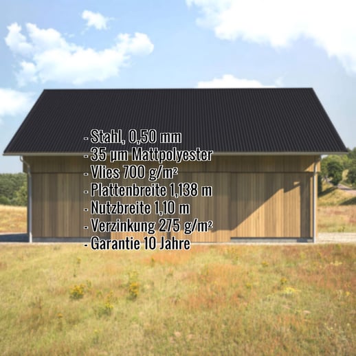 Trapezblech T20M | Dach | Anti-Tropf 700 g/m² | Stahl 0,50 mm | 35 µm Mattpolyester | 033 - Schwarz #2