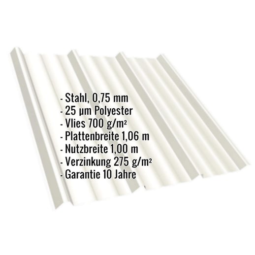 Trapezblech T45/333M | Dach | Anti-Tropf 700 g/m² | Stahl 0,75 mm | 25 µm Polyester | 9010 - Reinweiß #2