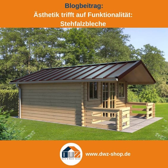 Titelgrafik eines Blogbeitrags mit dem Thema ‚Funktionalität von Stehfalzblechen‘ – gezeigt wird ein Gartenhaus mit dunklem Stehfalzblech, dazu das Logo und die Webadresse von DWZ-Shop.de.
