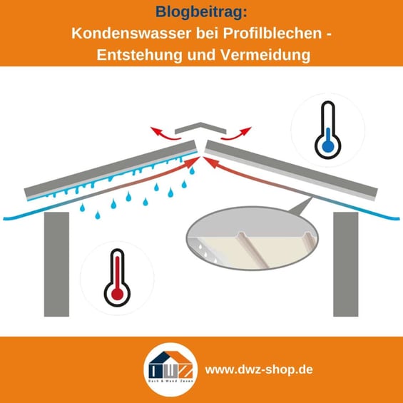 Titelgrafik eines Blogbeitrags mit dem Thema 'Kondenswasser bei Blechen' – gezeigt wird eine Grafik zur Veranschaulichung, dazu das Logo und die Webadresse von DWZ-Shop.de.