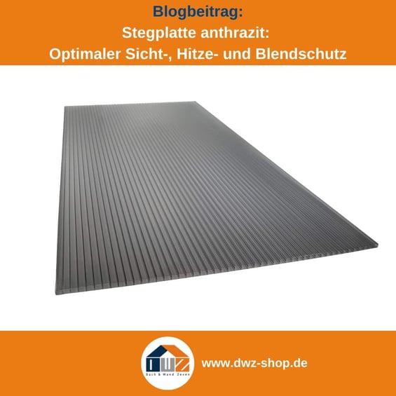 Titelgrafik eines Blogbeitrags mit dem Thema ‚Stegplatte in anthrazit‘ – gezeigt wird eine Stegplatte in anthrazit vor weißem Hintergrund, dazu das Logo und die Webadresse von DWZ-Shop.de.