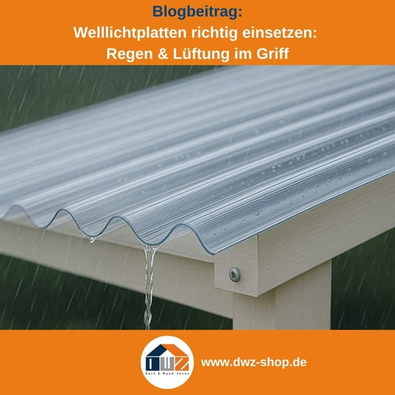 Titelgrafik eines Blogbeitrags mit dem Thema ‚Welllichtplatten‘ – dazu das Logo und die Webadresse von DWZ-Shop.de.